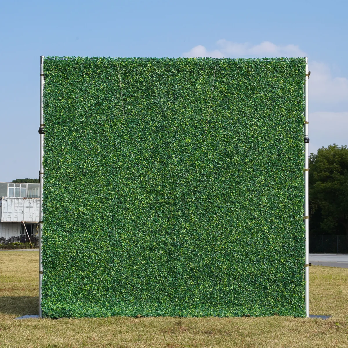 Greenery wall backdrop