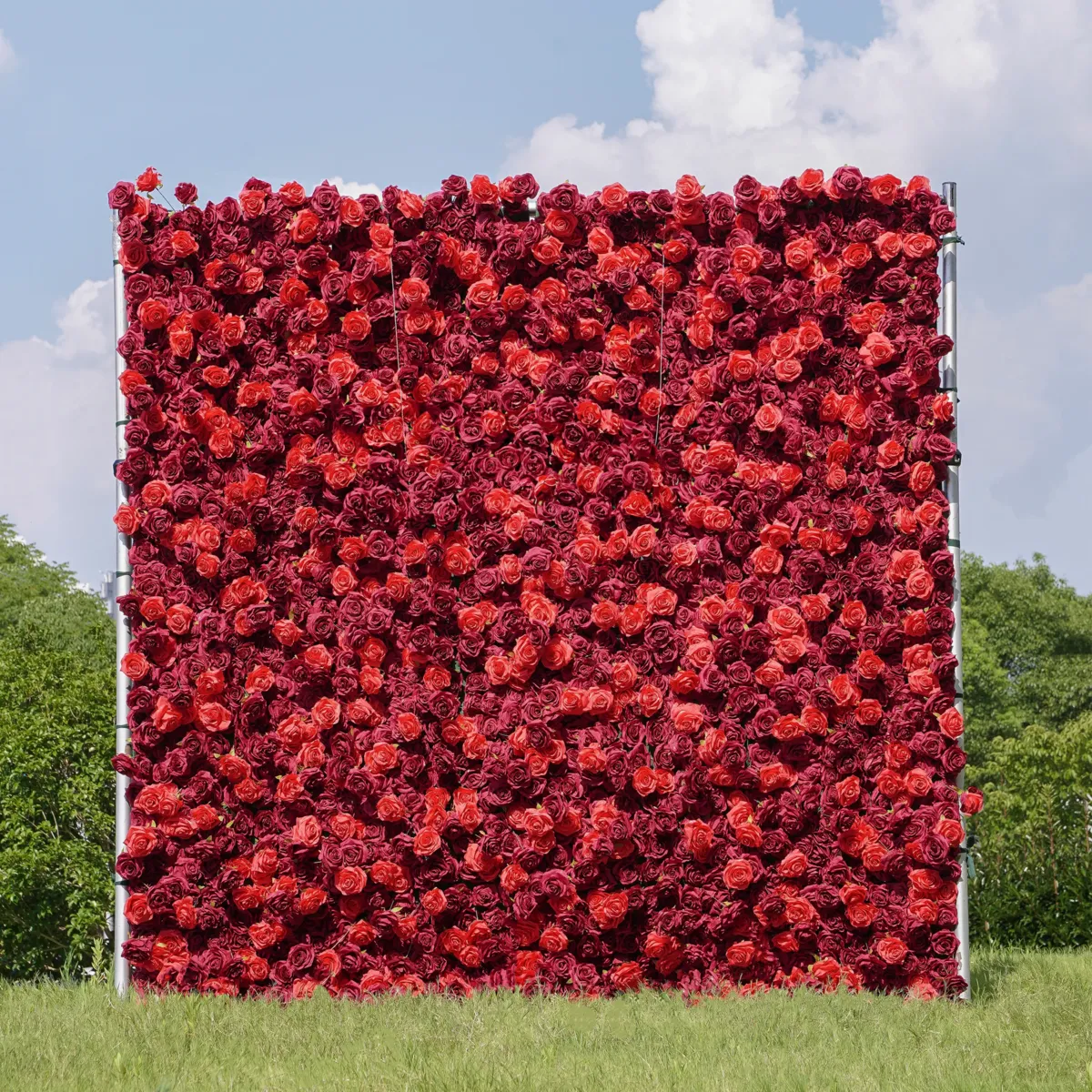 Rose flower wall