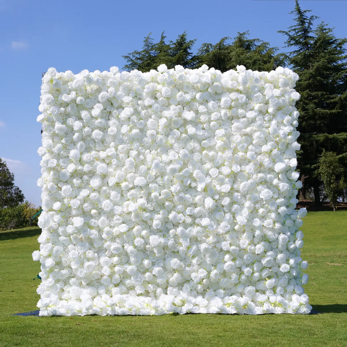 White rose flower wall